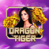 Dragon Tiger 33win69 live casino